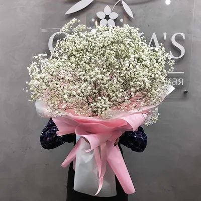 Букет из белой Гипсофилы - Доставка цветов Феодосия - Цветы Oliva's