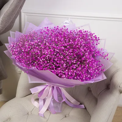 Букет из 15 розовых гипсофил - купить в Москве по цене 3190 р - Magic Flower