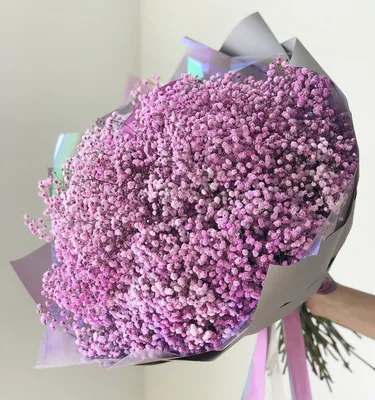 Букет из розовой гипсофилы | Цветы Вологда | Доставка цветов в Вологде |  Магазин Цветочница