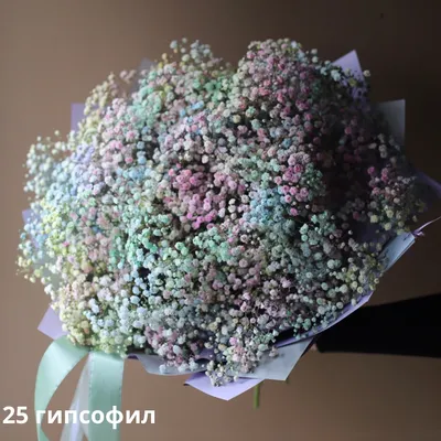 Букет из радужной гипсофилы - заказать доставку цветов в Москве от Leto  Flowers