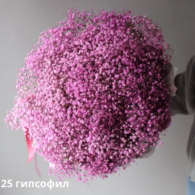 Букет из розовой гипсофилы - заказать доставку цветов в Москве от Leto  Flowers