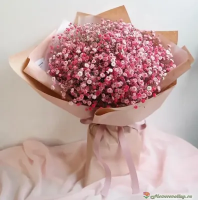 Букет из розовой гипсофилы, 11 шт. | Flowers Valley
