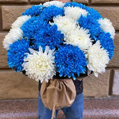 19 бело-синих крупных хризантем | Бесплатная доставка цветов по Москве