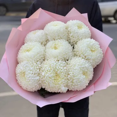 Купить букет из 9 белых крупных хризантем с доставкой на дом в Москве 24  часа
