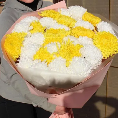 29 бело-желтых крупных хризантем | Бесплатная доставка цветов по Москве