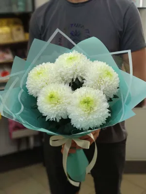 Букет 5 белых одноголовых хризантем купить в Тамбове букет цветов с  доставкой не дорого купить в один клик 68cvetov.ru 68 цветов