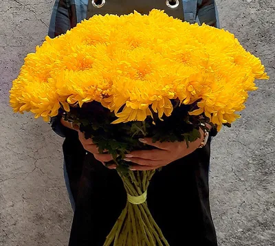Букет из желтых хризантем – купить с бесплатной доставкой в Москве