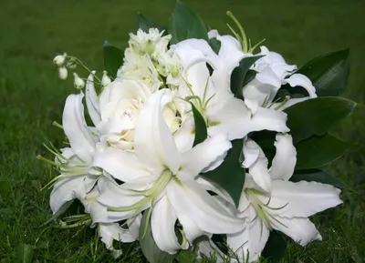 PEORCHID Real Touch светло-розовые лилии Свадебный букет для невесты  Искусственные белые розы зеленые эвкалипты сад свадебный букет - купить по  выгодной цене | AliExpress