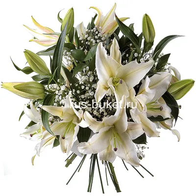 Букет невесты из альстромерий и питтоспорума - купить цветы с доставкой по  Москве и МО от 3290 руб | «Букет-Маркет»