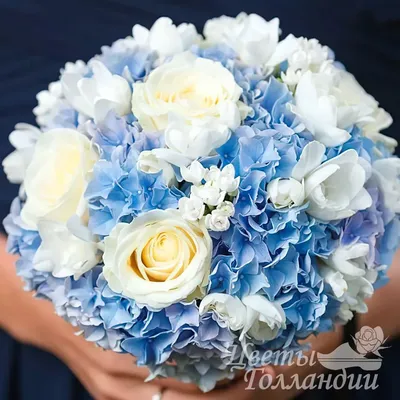 Голубой свадебный букет невесты из гортензии и роз купить в СПб ✿ Цветы  Голландии
