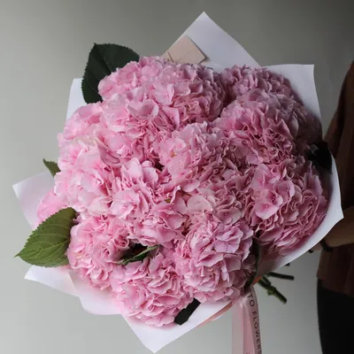Букет из розовых гортензий - заказать доставку цветов в Москве от Leto  Flowers