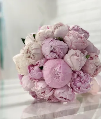 Букет невесты 25 розовых пионов на свадьбу | Доставка пионов P.I.O.N.O.V.O