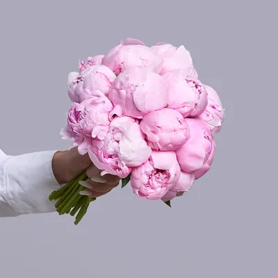 Букет невесты из розовых пионов - купить с доставкой в Омске - LAVANDA
