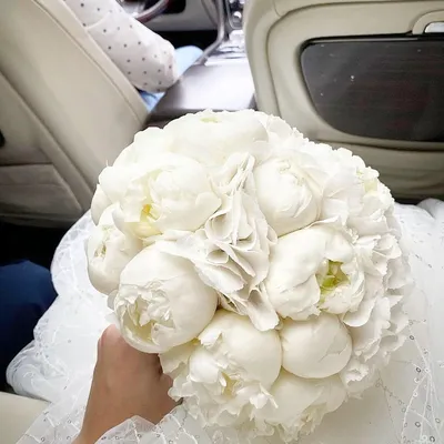 Букет невесты из белых гортензий и пионов | Бесплатная доставка цветов по  Москве