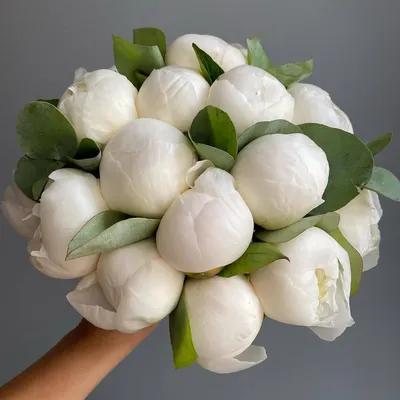Букет невесты из 15 белых пионов | Бесплатная доставка цветов по Москве