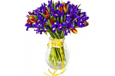 Ирисы синие с красными тюльпанами 75 шт. Букет ирисов в тюльпанах 50 см.  (Греция).