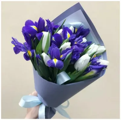 Букет из 11 синих ирисов и 10 белых тюльпанов — купить в интернет-магазине  по низкой цене на Яндекс Маркете