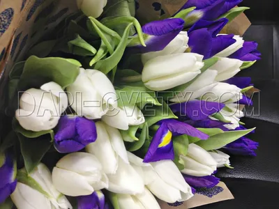Тюльпаны с Ирисами заказать с доставкой в Челябинске - салон «Дари Цветы»