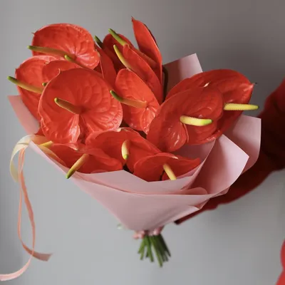 Букет из красных антуриумов - заказать доставку цветов в Москве от Leto  Flowers
