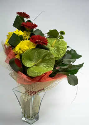Купить букет цветов «Букет №11 Гербера+антуриум» в Курске в  интернет-магазине «Дом цветов»