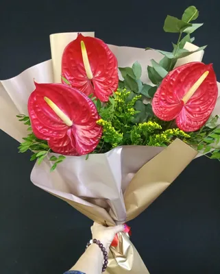 Купить Букет с антуриумом из каталога Сборные букеты цветов в Якутске -  «Цветы от Лены Бочковской»