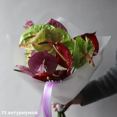 Букет из антуриумов разных цветов - заказать доставку цветов в Москве от  Leto Flowers