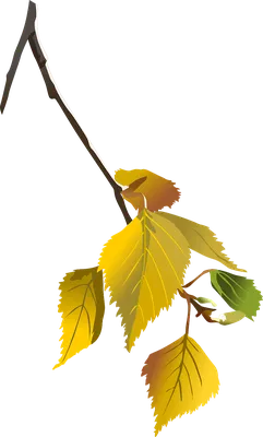 Искусственное растение - Ветка берёзы зелёная, цена 92,5 руб., артикул  22055-14