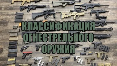 UzNews - МВД планирует узаконить продажу охотничьего оружия