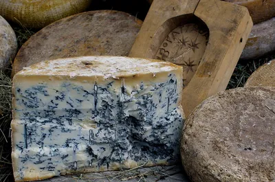 Как хранить сыр с плесенью: виды деликатесов, сроки и подходящие условия  для хранения