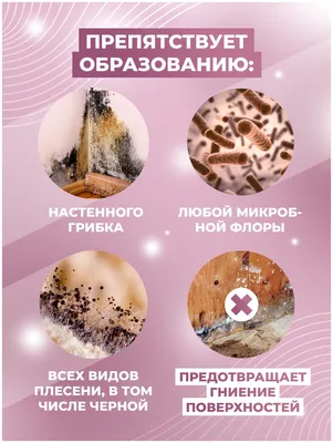 Средство от плесени и грибка ACCENT BIO МастерХим спрей 500 мл — купить в  интернет-магазине по низкой цене на Яндекс Маркете