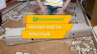 ВИНОГРАД ВЕЛИКА: купить саженцы винограда велика в Одессе, Киеве и Украине  - Agro-Market
