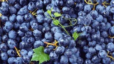 5 освежающих низкокалорийных блюд из винограда | Passion.ru