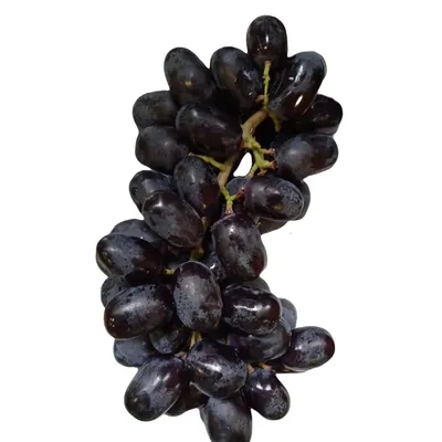 Виноград «Мерседес» - купить по выгодной цене | И-МНЕ магазин натуральных,  фермерских, экопродуктов