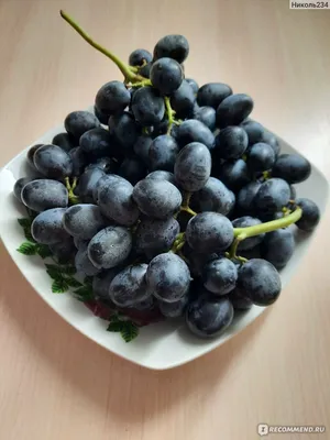 Ягода Черный Мерседес Виноград черный - «Я сегодня купила себе \"Чёрный  мерседес\"... Это всего лишь такой сорт винограда:) А как звучит?;)» | отзывы