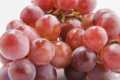 Купить Саженцы розового винограда в Крыму почтой \u003e\u003e\u003e Цена на Саженцы  розового винограда - продажа в питомнике Королева сада