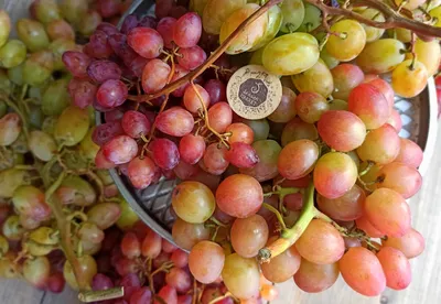 Виноград Велес, Ливия и Юбилей Новочеркасска | Фермерские продукты  SeasonMarket | Дзен