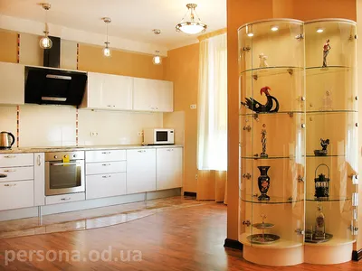Кухня-студия со стеклянной витриной на заказ в Одессе