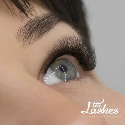 3D наращивание ресниц в Москве - цена, фото, отзывы в студии The Lashes