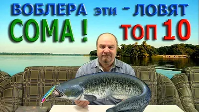 ВОБЛЕРА эти - ЛОВЯТ СОМА ! ТОП - 10 - YouTube