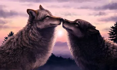 Лес волк и волчица на закате | Обои для телефона
