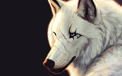 волчица | Wolf art, Animals, Wolf wallpaper