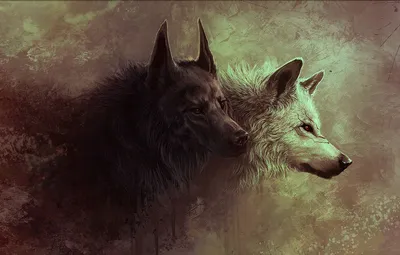 Обои звери, волк, арт, волчица картинки на рабочий стол, раздел фантастика  - скачать