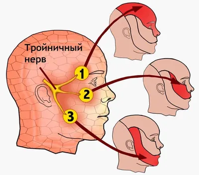 Шишка за ухом на мочке: Появление ощутимых болезненных уплотнений: описание  болезни, причины, симптомы, лечение | ВОЛОКОНОВСКИЙ РАЙОН