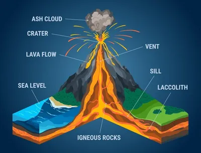 Изометрия вулкана в инфографике поперечного сечения. структура с указанием  магматического очага, газового конуса, жерла и кратера лавовой бомбы пепла.  разрез земной коры. | Премиум векторы