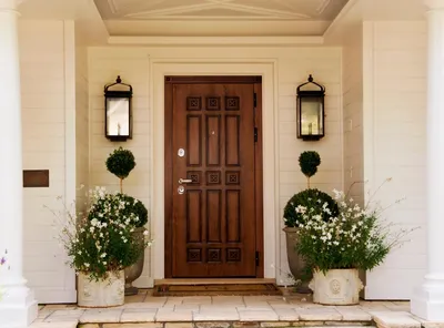 Входная дверь для загородного дома: как выбирать?