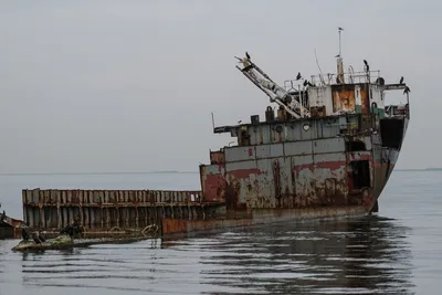 Сокровища Черного моря: чем затопленные корабли под Геленджиком привлекают  туристов - Кубанские новости