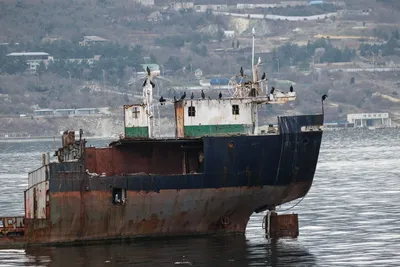 Сокровища Черного моря: чем затопленные корабли под Геленджиком привлекают  туристов - Кубанские новости