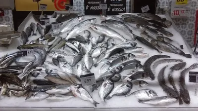 Португальский гипермаркет - рыбный отдел | Пикабу