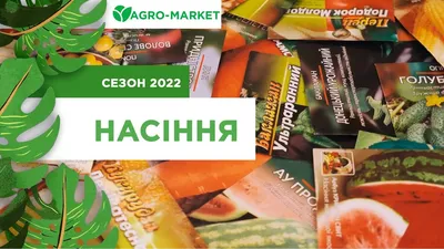 Георгина помпонная \"Дуэт-mix\" ТМ \"GL SEEDS\" 0.25г купить почтой в Одессе,  Киеве, Украине | Agro-Market