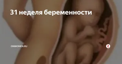 ❤️ 31 неделя беременности 🎀 | 👶🏻KROHIPRO👶 - Беременность, питание,  подготовка к родам, воспитание детей - Всё о детях и их родителях🤱🏻 | Дзен